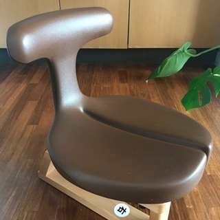 Ayur chair アーユルチェア あぐらイス 座椅子x2脚