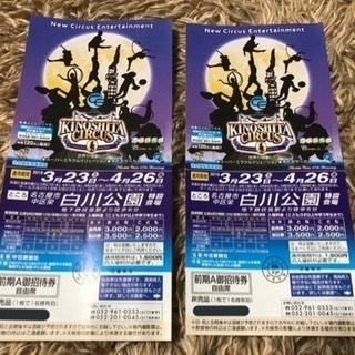 木下サーカス ペアチケット 期間内全期日入場可能