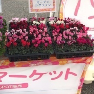 3時間で5000円 3/30 単発　島忠・八潮店の近く　お花屋さんです