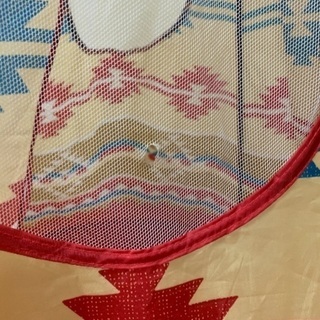 無料★キッズテント★3/28までの画像