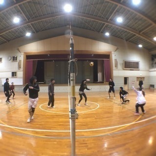バレーボールメンバー募集