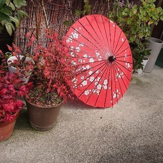 LINE友募集です。
