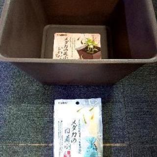【新品】スドー メダカの角小鉢 ひわだの画像