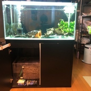 90cm 三重管オーバーフロー水槽 フルセット