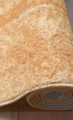 新品未使用‼️カーペット