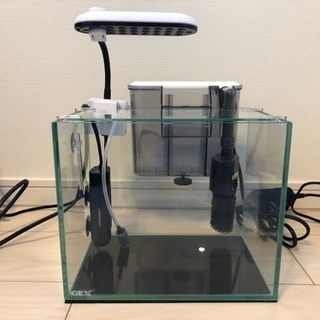 熱帯魚飼育セット 3/30までに取りに来ていただける方限定  