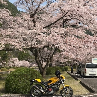 バイク仲間募集！
