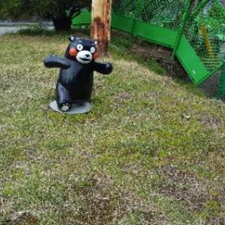 一緒に写真撮りに行ける友達募集！！ - 熊本市