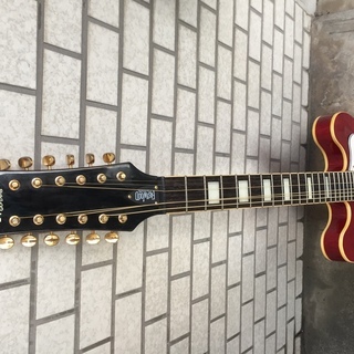 Eastwood Electric 12弦の画像