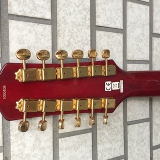 Eastwood Electric 12弦の画像