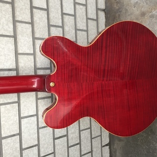 Eastwood Electric 12弦の画像