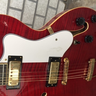 Eastwood Electric 12弦の画像