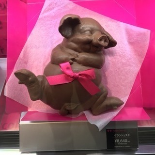 ぽっちゃりさん大募集ー！！