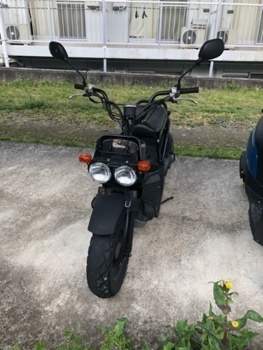 原付 ズーマー HONDA 大人気 オシャレ