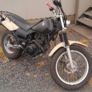Tw200 不動の画像