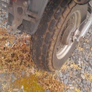 Tw200 不動の画像