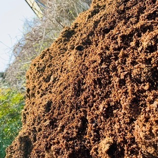 牛糞堆肥  【薔薇栽培・家庭菜園には牛糞堆肥・鶏糞が1番】の画像