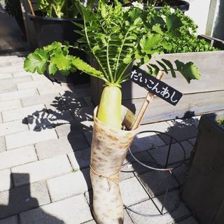 ビーガン、ベジタリアンの方で本当に安心安全な野菜を自分達で作りま...