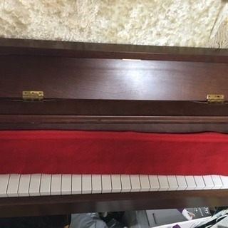 ピアノ （一週間のみ）
