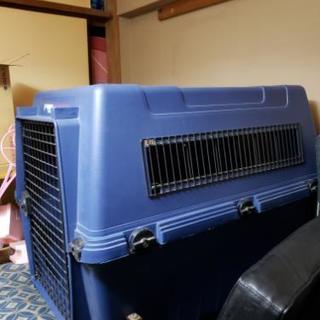 犬のゲージ
