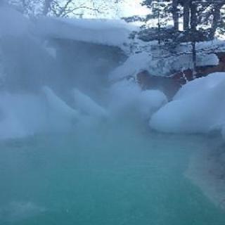 【未経験歓迎】《個室寮》寮費、光熱費、食費　無料‼️の画像