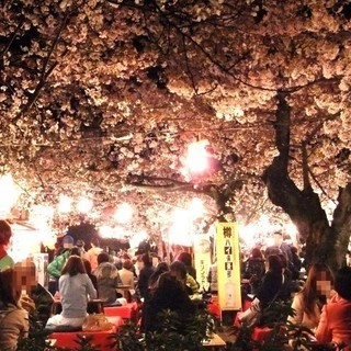 【3/30（土）12時～】【京都・東山】【1日・短期OK】 お花...