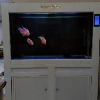 液晶タッチパネル　オーバーフロー水槽 120cm フルセット