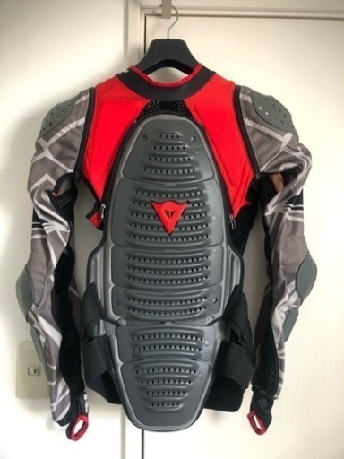 ダイネーゼ   スノー用プロテクタ