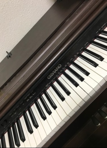 CASIO 電子ピアノ CELVIANO AP-450
