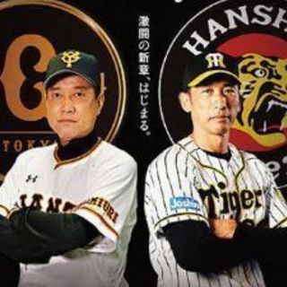 阪神vs巨人⚾5月29日18時⚾ブリーズシート⚾
