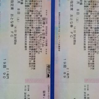 阪神vs日本ハム⚾6月8日14時ライト外野指定席⚾の画像