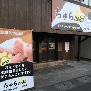 頑固な肩凝り、腰痛でお悩みの方へ ぜひちゅらneko   で楽になりましょう！ - 地元のお店