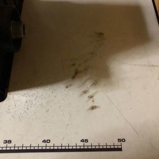 業務用ロックミシンの画像