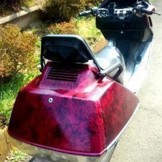 フュージョンX　ラップ塗装の画像