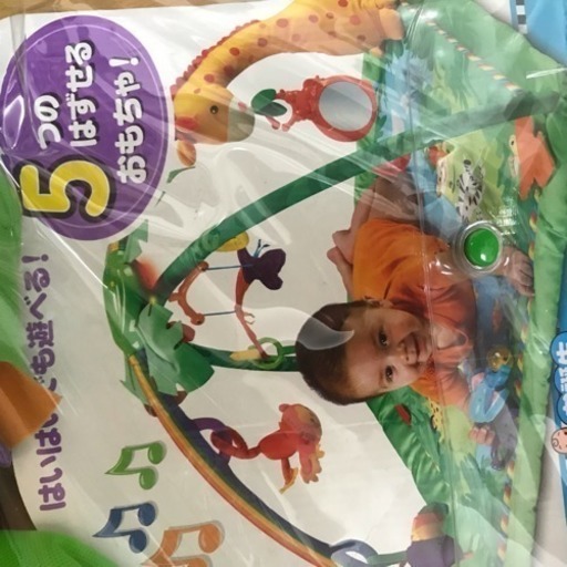 最終値下げ  赤ちゃん レインフォレスト デラックスジム