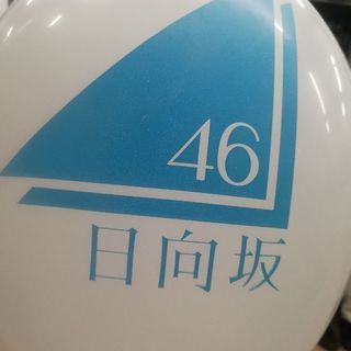 3/31日向坂杉並善福寺川緑地公園花見大会