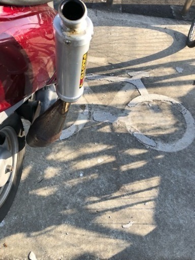 カメレオンファクトリー  マフラー