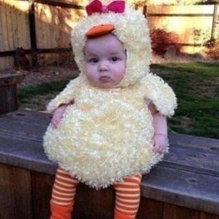 あひる着ぐるみ50~60サイズ