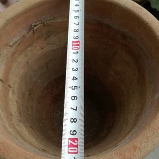 無料中古テラコッタ植木鉢の画像