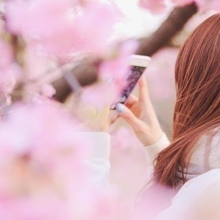桜🌸インスタ 撮影 仲間 Instagram お花見 - 千代田区