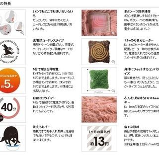 ホットクッションAX-HCL25の画像