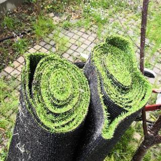 人工芝　二巻の画像