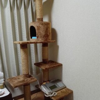 キャットタワー