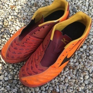 24cm★イグニタス★トレシュー★スパイク