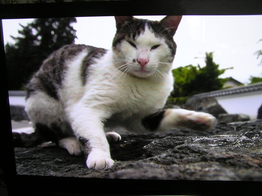 ◇取引終了 日立42型プラズマテレビ■HDD内蔵♪録画できます。☆お取引後1週間の動作補償します。