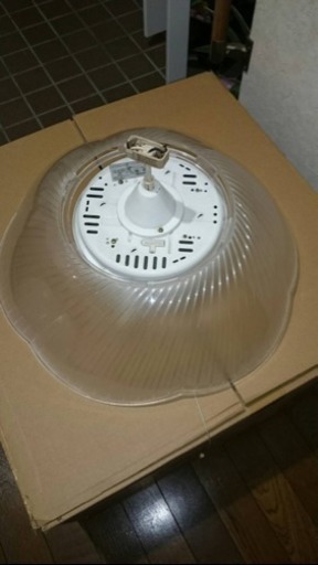 お花の形の可愛い照明です^_^