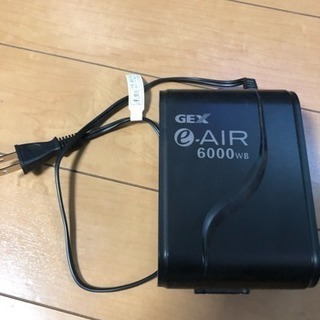 エアレーション(熱帯魚水槽)生体