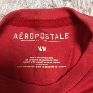 エアロポステール  Tシャツの画像