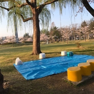 🌸🌸郡山で遊び隊🌸🌸いよいよ開成山公園お花見来週開催！！ - 郡山市