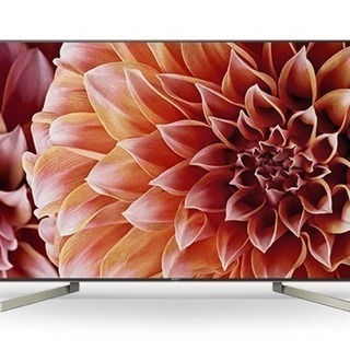 SONY BRAVIA KJ-49X 9000F 2018年最新モデル